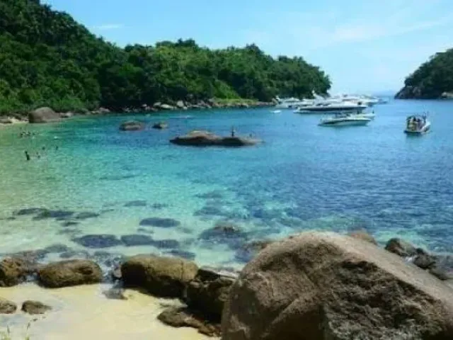 Ilha das Couves - foto 4