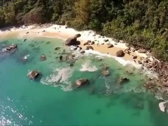 Ilha das Couves - foto 9