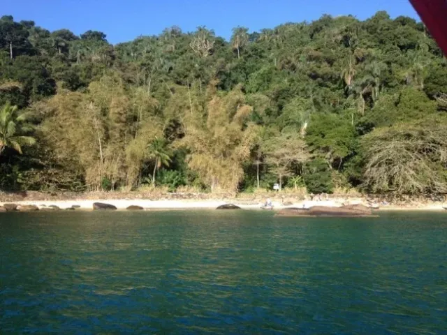 Ilha das Couves - foto 5