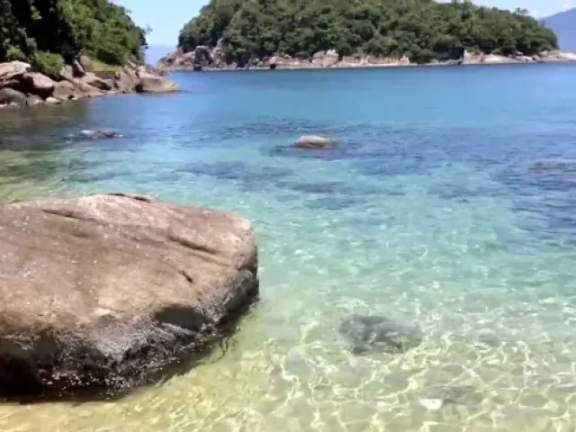 Ilha das Couves - foto 11
