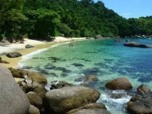 Ilha das Couves - foto 8