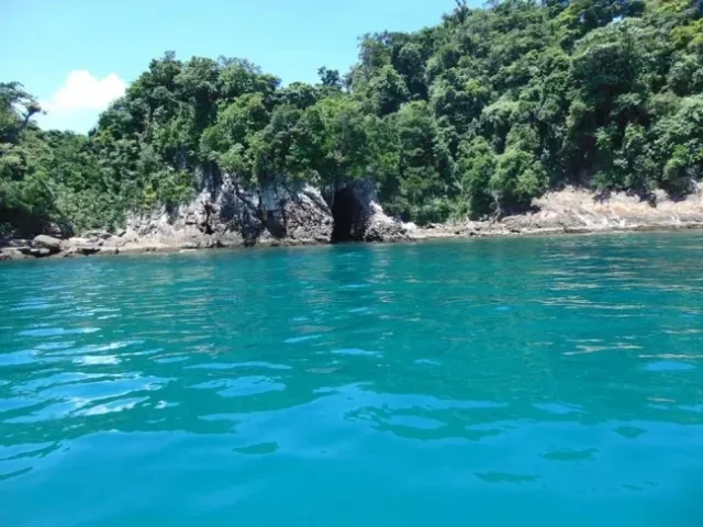 Ilha das Couves - foto 13