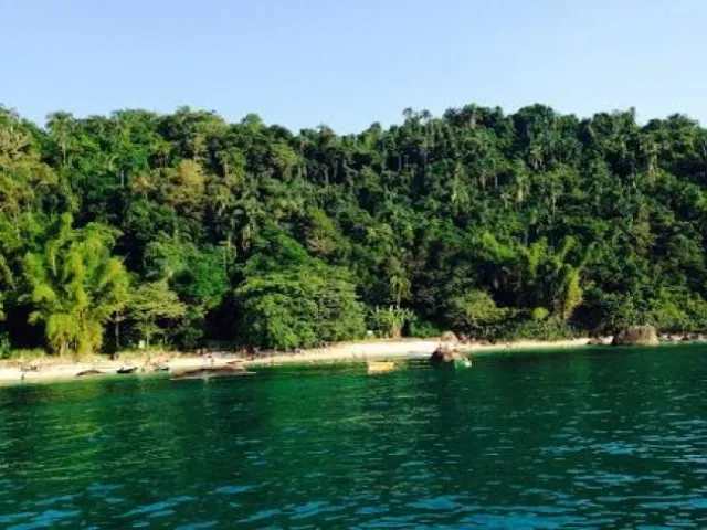 Ilha das Couves - foto 12